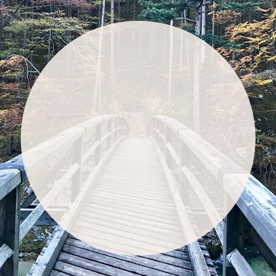 Brücke -  Stärkung der Identität, Bedeutung von Werten und Wertvorstellungen sowie die Verwirklichung von Träumen und Zielen durch Coaching - Dr. Sabine Tschugguel in 1010 und 1190 Wien